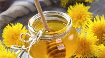 мед з кульбаби