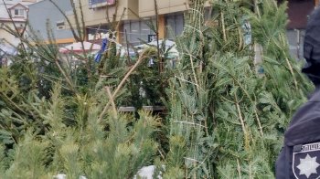 У Львові оштрафували продавця за торгівлю новорічними ялинками без документів
