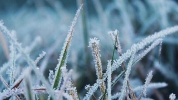 19 жовтня на Львівщині очікуються сильні заморозки