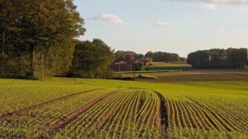Львівській громаді повернули земельну ділянку площею понад гектар