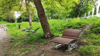 29 вересня проведуть завершальний етап обробки львівських парків від кліщів: список локацій