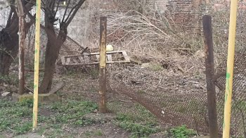 Щури бігають по дитячому майданчику: львів’яни просять провести дератизацію дитячої зони на Промисловій (відео)