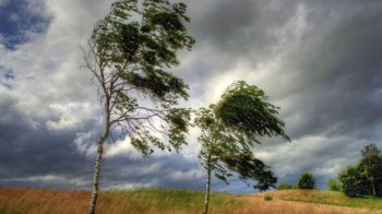 Погода у Львові та області 24 червня – грози, град, шквали вітру