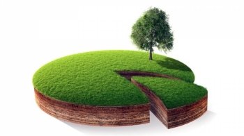 Найдорожча земельна ділянка та вирубка дерев біля лікарні: головні новини Львівщини за 14 вересня