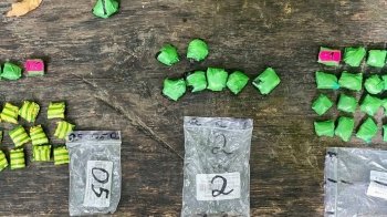 У львівському парку поліцейські затримали наркозбувача з амфетаміном