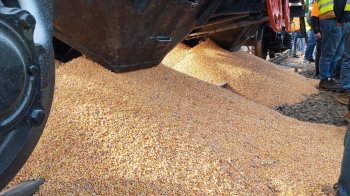 Польські фермери, які блокують кордон з Україною, висипали збіжжя з вагона на ПП «Медика», фото Ірини Мочульської/Суспільне Львів