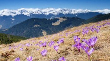 Без опадів, однак сильний туман: погода на Львівщині 22 березня