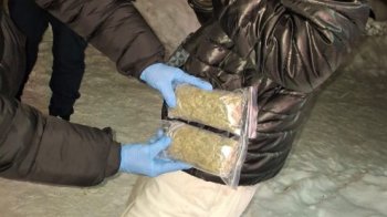 У Львові затримали 21-річного чоловіка за продаж канабісу в Instagram