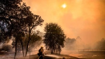 Понад 40 градусів: у серпні в Україні прогнозують рекордну спеку