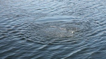 У Червоноградському районі у річці знайшли потопельника