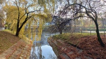 До кінця року у Львові планують очистити сім озер: адреси