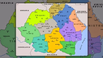Ультраправа сенаторка з Румунії закликає анексувати українські Буковину та Бессарабію 