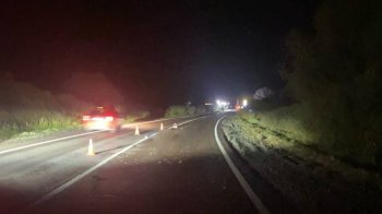 Поліція розшукує водія, який на смерть збив пішохода поблизу Яворова