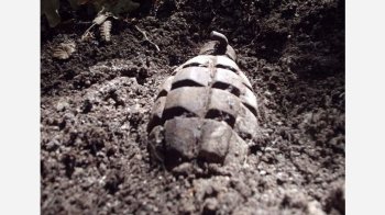 Вибухотехніки знайшли та вилучили гранати на одному із дачних кооперативів Львова