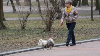 У Львові складатимуть протоколи на власників, які не прибирають за своїми тваринами
