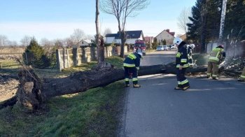 Польщею пронісся ураган Отто: тисячі будинків без світла, є постраждалий