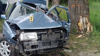 На Львівщині 26-річний водій в’їхав у дерево — є постраждалі
