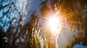 У вівторок на Львівщині прогнозують до 10 градусів тепла