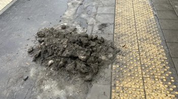 Покриті льодом та брудом: львів’яни скаржаться на захаращені зупинки громадського транспорту