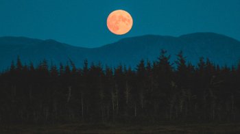 У серпні можна буде двічі побачити «супермісяць»: дати