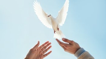 Стрітення Господнє – зустріч Бога і людства: історія, традиції та заборони