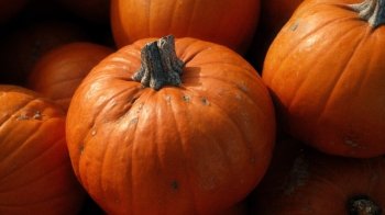 Осінні вихідні: 5 рецептів з гарбуза