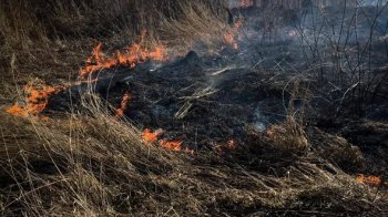 У Львівській громаді паліїв сухої трави шукатимуть за допомогою дронів