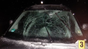 У Раві-Руській водій Volkswagen збив 51-річну велосипедистку