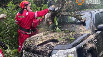 На Львівщині через сильний дощ авто знесло з траси
