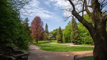 20 жовтня: новини, з якими варто почати цей день