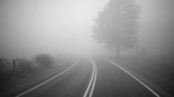 На Львівщині синоптики прогнозують туман та ожеледицю