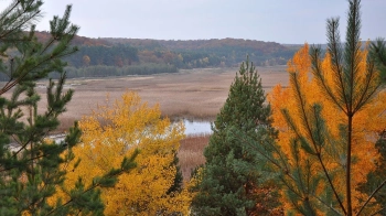 На Львівщині створили 3D-тур унікальним водно-болотним угіддям заповідника “Розточчя”