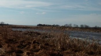 Суд повернув селищній раді на Львівщині ділянку з озером площею 17 га