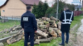 «Застукали на гарячому»: на Львівщині лісника лісогосподарського підприємства викрили на хабарі