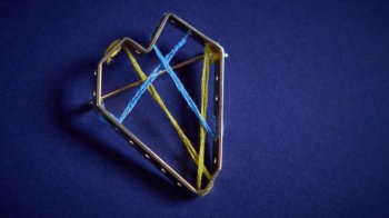 Чотирьом волонтерам із Львівщини вручили державні нагороди