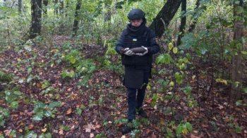 У львівському парку знайшли боєприпас часів Другої світової війни