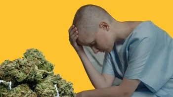 Медичний канабіс: президент скликає позачергове засідання Ради