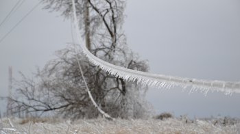 Через негоду на Львівщині знеструмлені понад 80 населених пунктів