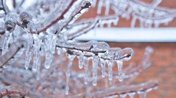 Прогноз погоди у Львові та області на 11 січня: до –20°