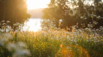 На Львівщині 19 серпня синоптики прогнозують до 27 градусів тепла