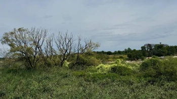 Електромонтажна фірма викупила за 4,6 млн грн землю біля Львова