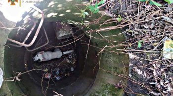 У Дрогобичі надзвичайники врятували собаку, який впав у колодязь