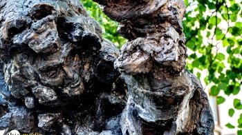 Петиція про демонтаж пам’ятника Моцарту набрала більше 5 сотень голосів