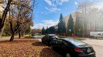 У Львові визначили найпоширеніші порушення паркування восени 2025 року