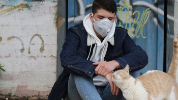 Головне про коронавірус