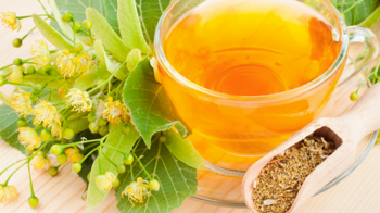 користь і шкода липового чаю