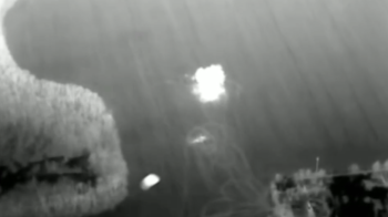 ССО та ГУР знищили в тилу чотири вертольоти росіян