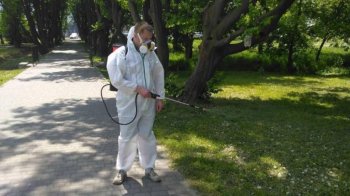 Які парки Львова оброблятимуть від кліщів 25 травня