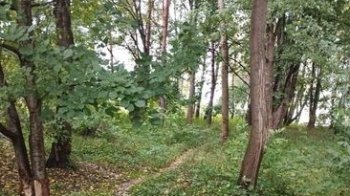 Рятують територію від забудовників: у Дублянах створять новий сквер