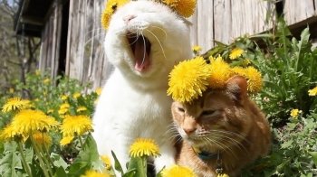 Хмарно, але без опадів: яким буде вівторок на Львівщині